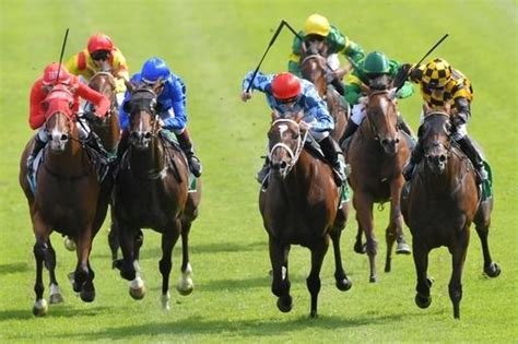 Surround Stakes Results & Replays .